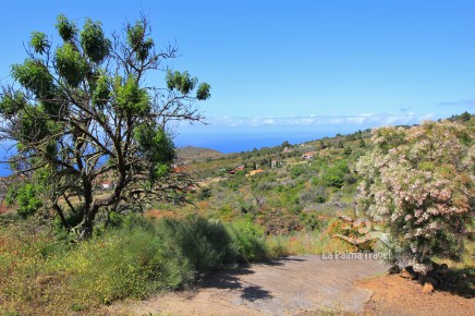 Casa Almendro ist ein bezauberndes La Palma Ferienhaus für zwei Personen inmitten der Natur.